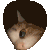 cat_peek animated Discord emote | NitroLoot | Free Nitro Giveaways &  Community