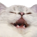 catkek custom emote from Sammy's Indie-Electro Lounge