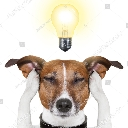 Dog holding its head with a glowing lightbulb hovering above it.