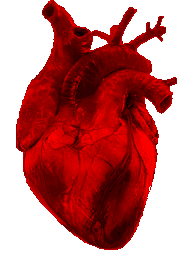 heart animated Discord emote | trans chompers