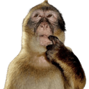 monkeythink Discord sticker from Star Wars: Open Galaxy