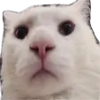 weirdo custom emote - Lucid Love ☾  Relationship ⭑ Social ⭑ Gaming ☽