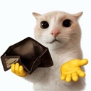A white cat with human hands holding an open, empty wallet while shrugging.