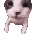 cat_kiss animated GIF emoji | 𐔌  ℘etalb𖹭und ꒱