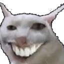 weshcat Discord Emoji - WiseHosting