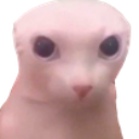 emoji_115 Discord Emoji | #~ 𝐄𝐦𝐩𝐢𝐫𝐞 𝐖𝐞𝐬𝐭 𝟏𝟖𝟕