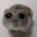 sadhamster custom emote | Anime Empire