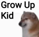 Cheems the dog looking slightly to the side with the text Grow Up Kid written next to him.