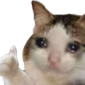 okay Discord Emoji | Lucid Love ☾  Relationship ⭑ Social ⭑ Gaming ☽