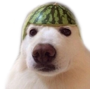 dog_dua Discord Emoji - 𝘙𝘌𝘈𝘓𝘐𝘛𝘠 𝘈𝘞𝘈𝘐𝘛𝘚... but after 24.7