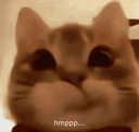 hmppp_cat custom emote | RIZZ HEAVEN | Chill • Hangout • VC • SFW • Events • Friends • Giveaways • Ask to DM • Non Dating