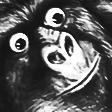 Haramb2 Discord Emoji from Mandatory Fun