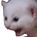 whaaaaa Discord Emoji from Lucid Love ☾  Relationship ⭑ Social ⭑ Gaming ☽