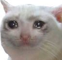 sadcat custom emote | 遊戲小鎮
