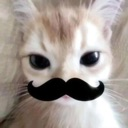 catoachxalach Discord sticker - 𝘙𝘌𝘈𝘓𝘐𝘛𝘠 𝘈𝘞𝘈𝘐𝘛𝘚... but after 24.7