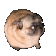 puppypog animated Discord emote - the gaang
