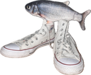 shoefish custom emote | yoniland ₓ˚ 🍃 ୭