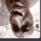 Screenshot20260128162909 Discord Emoji from Lunaris