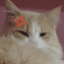 emoji_51 Discord Emoji | —Cats galaxy🌠🐱—