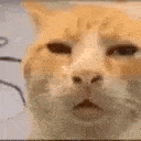 Huhh_smoother animated emote from ShimadaX