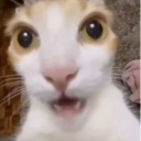 wtf custom emote | Phà Miền Tây V1🛳