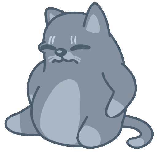 Embarrassed cat
